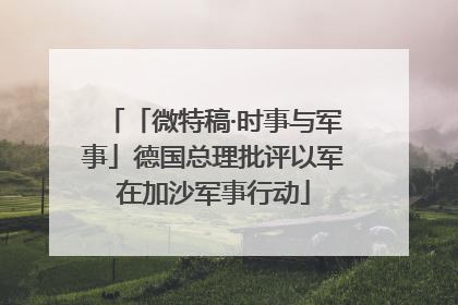 「微特稿·时事与军事」德国总理批评以军在加沙军事行动