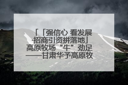 「强信心 看发展·招商引资拼落地」高原牧场“牛”劲足——甘肃华予高原牧场高标准奶牛肉牛养殖项目一线见闻