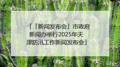 「新闻发布会」市政府新闻办举行2025年天津防汛工作新闻发布会