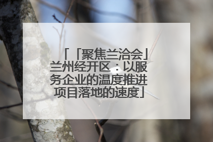 「聚焦兰洽会」兰州经开区：以服务企业的温度推进项目落地的速度