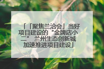 「聚焦兰洽会」当好项目建设的“金牌店小二” 兰州生态创新城加速推进项目建设