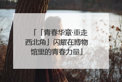 「青春华章·重走西北角」闪耀在博物馆里的青春力量