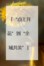 “点上开花”到“全域共美”