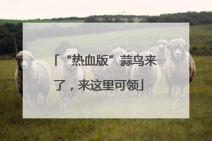 “热血版”蒜鸟来了，来这里可领
