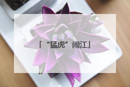 “猛虎”闹江