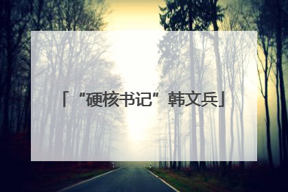 “硬核书记”韩文兵