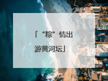 “粽”情出游黄河坛