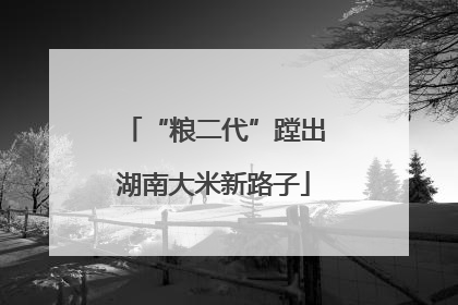 “粮二代”蹚出湖南大米新路子