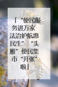 “便民服务进万家 法治护航惠民生”“头雁”便民集市“开张”啦