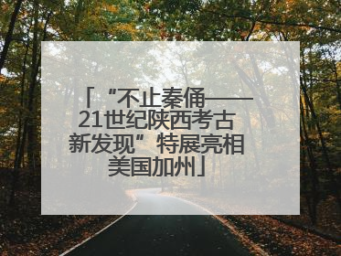 “不止秦俑——21世纪陕西考古新发现”特展亮相美国加州