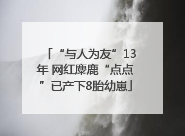“与人为友”13年 网红麋鹿“点点”已产下8胎幼崽