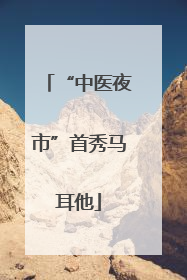 “中医夜市”首秀马耳他