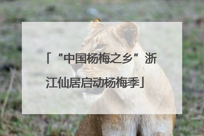 “中国杨梅之乡”浙江仙居启动杨梅季