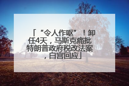 “令人作呕”！卸任4天，马斯克痛批特朗普政府税改法案，白宫回应