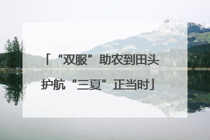 “双服”助农到田头 护航“三夏”正当时