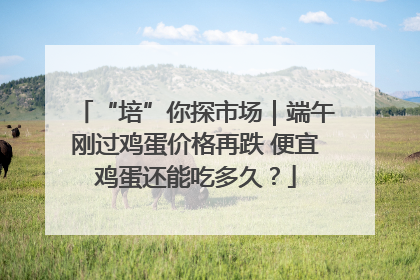 “培”你探市场｜端午刚过鸡蛋价格再跌 便宜鸡蛋还能吃多久？