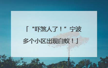 “吓煞人了！”宁波多个小区出现白蚁！