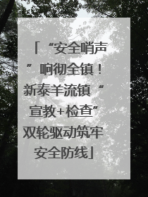 “安全哨声”响彻全镇！新泰羊流镇“宣教+检查”双轮驱动筑牢安全防线