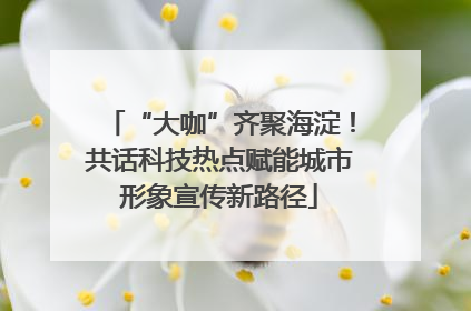 “大咖”齐聚海淀！共话科技热点赋能城市形象宣传新路径