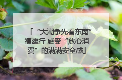 “大潮争先看东南”福建行 感受“放心消费”的满满安全感