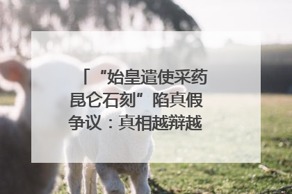 “始皇遣使采药昆仑石刻”陷真假争议：真相越辩越明｜新京报专栏