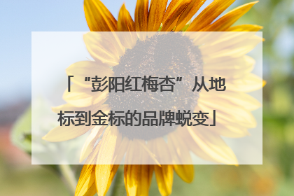 “彭阳红梅杏”从地标到金标的品牌蜕变