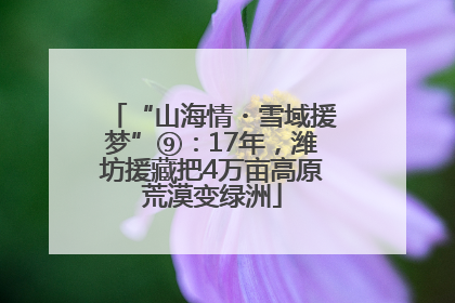 “山海情・雪域援梦”⑨：17年，潍坊援藏把4万亩高原荒漠变绿洲