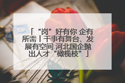“岗”好有你 企有所需丨干事有舞台、发展有空间 河北国企抛出人才“橄榄枝”