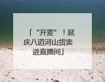 “开麦”！延庆八道河山货卖进直播间