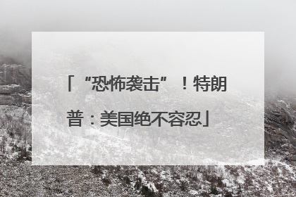 “恐怖袭击”！特朗普：美国绝不容忍