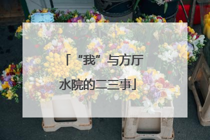 “我”与方厅水院的二三事