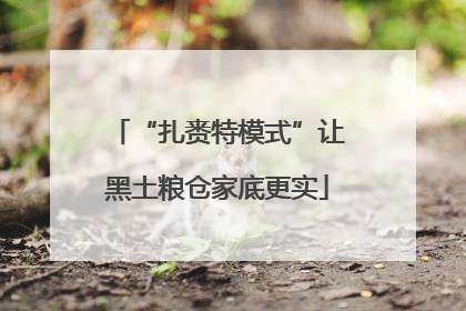 “扎赉特模式”让黑土粮仓家底更实