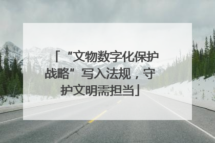 “文物数字化保护战略”写入法规，守护文明需担当