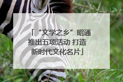 “文学之乡”昭通推出五项活动 打造新时代文化名片