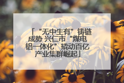 “无中生有”铸链成势 兴仁市“煤电铝一体化”撬动百亿产业集群崛起