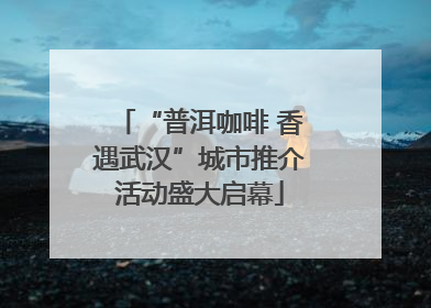 “普洱咖啡 香遇武汉”城市推介活动盛大启幕