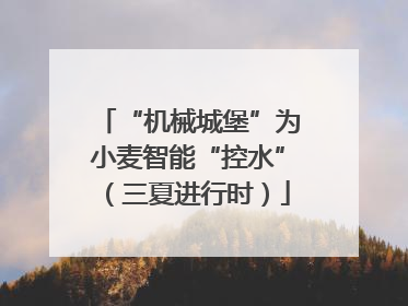 “机械城堡”为小麦智能“控水”（三夏进行时）