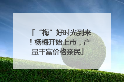 “梅”好时光到来！杨梅开始上市，产量丰富价格亲民