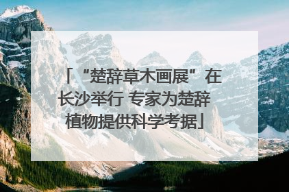 “楚辞草木画展”在长沙举行 专家为楚辞植物提供科学考据