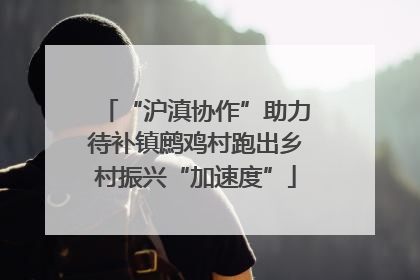 “沪滇协作”助力待补镇鹧鸡村跑出乡村振兴“加速度”