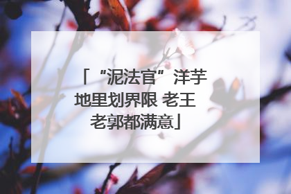 “泥法官”洋芋地里划界限 老王老郭都满意