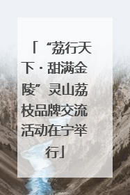 “荔行天下・甜满金陵”灵山荔枝品牌交流活动在宁举行