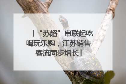 “苏超”串联起吃喝玩乐购，江苏销售客流同步增长