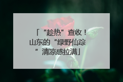 “趁热”查收！山东的“绿野仙踪”清凉感拉满