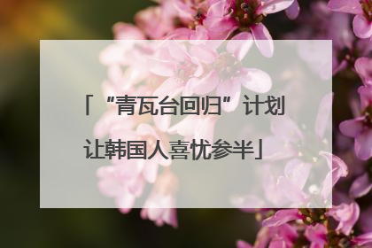 “青瓦台回归”计划让韩国人喜忧参半