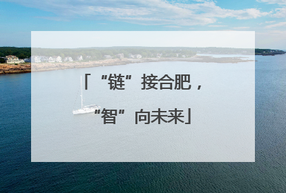 “链”接合肥，“智”向未来