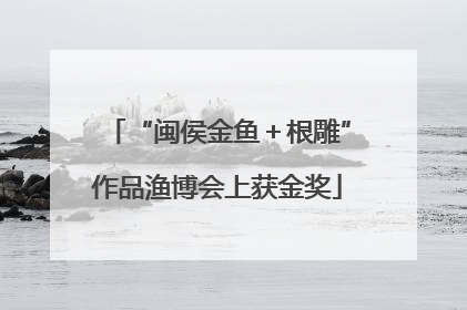 “闽侯金鱼＋根雕”作品渔博会上获金奖