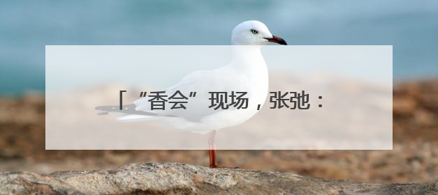 “香会”现场，张弛：解放军备战打仗不停歇，打“独”促统不停步
