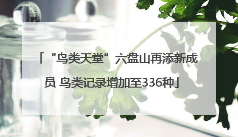 “鸟类天堂”六盘山再添新成员 鸟类记录增加至336种