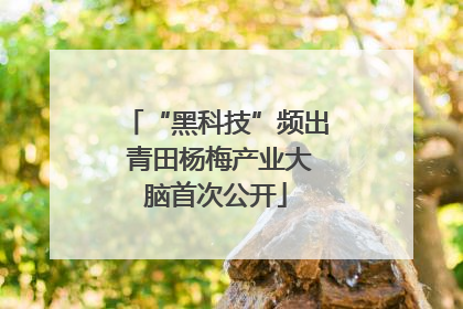 “黑科技”频出 青田杨梅产业大脑首次公开